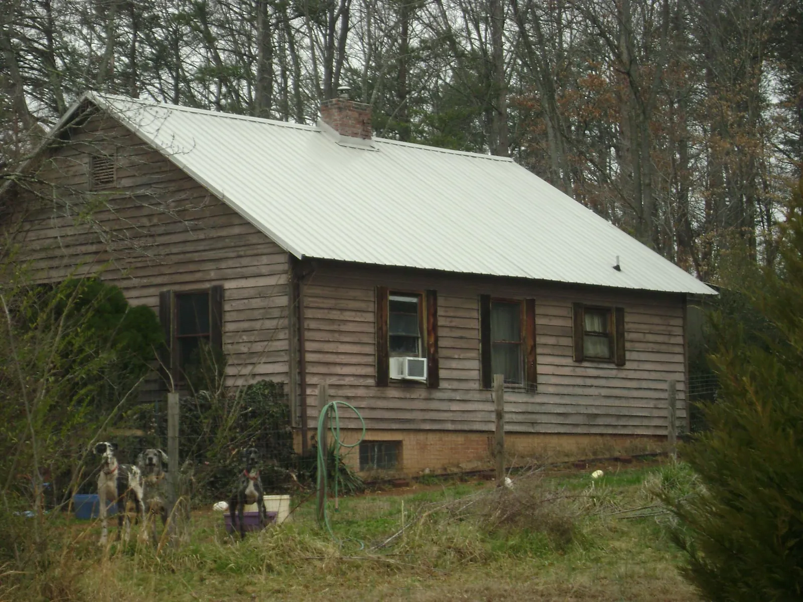 White metal roof on an old wood sided farmhouse, from a Asphalt Shingle Roof Repair job in Humboldt